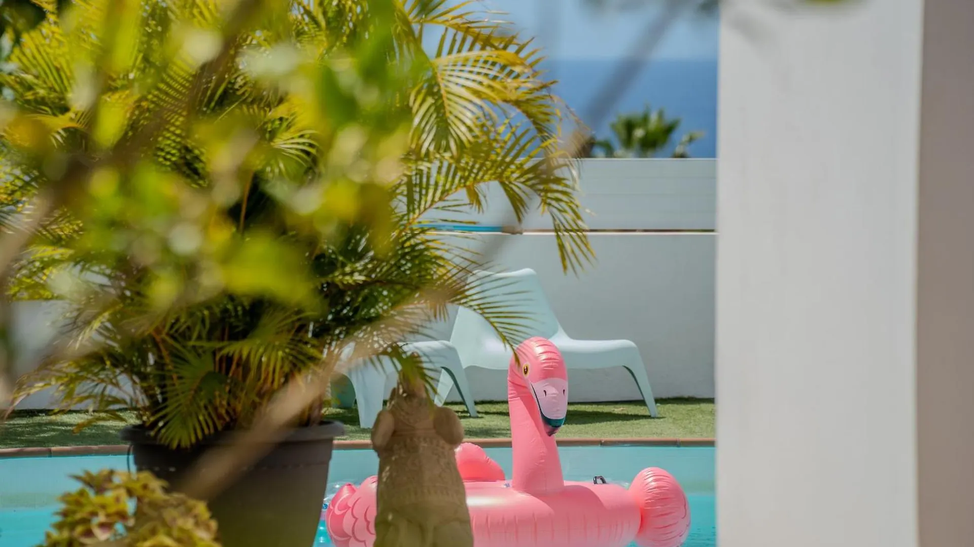 Bungalow Apartment With Private Pool & Ocean Views 阿德耶 西班牙